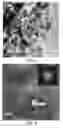 Fig. 04 - Copper nanoparticle-titania composite nanoarchitectures