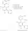 Fig. 124 - PHOSPHORUS-CONTAINING CATALYSTS