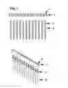 Fig. 02 - Apparatus and method for using a tip collar on a single row of pipette tips