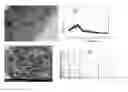 Fig. 01 - Iron-based biochar material, preparation therefor and use thereof in soil pollution control