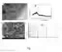 Fig. 02 - Iron-based biochar material, preparation therefor and use thereof in soil pollution control