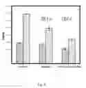 Fig. 06 - Iron-based biochar material, preparation therefor and use thereof in soil pollution control