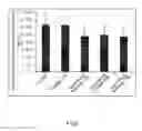 Fig. 07 - Iron-based biochar material, preparation therefor and use thereof in soil pollution control