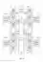 Fig. 09 - Force detecting device, robot, electronic component conveying apparatus