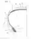 Fig. 09 - Process and apparatus for building tyres for vehicle wheels