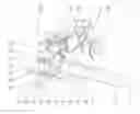 Fig. 01 - Connecting arrangement for a stabilizer of a vehicle