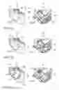 Fig. 04 - Series of mounting supports and mounting support for fastening radiator modules, and method for manufacturing mounting supports