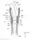 Fig. 01 - Fuel supply device