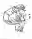 Fig. 04 - Wiper assembly for a windshield of a vehicle