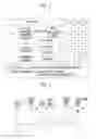 Fig. 04 - Control system for vehicle