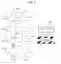 Fig. 04 - System and method for controlling vehicle components based on camera-obtained image information