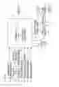 Fig. 05 - Rough terrain vehicle