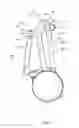 Fig. 04 - Infant stroller apparatus