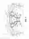 Fig. 04 - REAR PORTION STRUCTURE OF SADDLE-RIDE TYPE VEHICLE