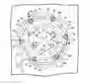 Fig. 01 - Structure for installing fuel pump in fuel tank