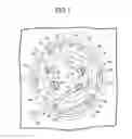 Fig. 08 - Structure for installing fuel pump in fuel tank