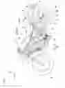 Fig. 02 - Swing arm of saddle riding vehicle