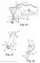Fig. 09 - Seat suspension