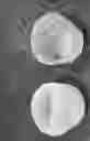 Fig. 09 - PORTABLE CONTAINER FOR STORING VISCOUS SUBSTANCE