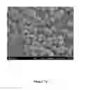 Fig. 08 - Nano-Structured Catalysts
