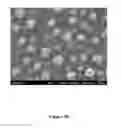 Fig. 09 - Nano-Structured Catalysts