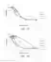 Fig. 07 - Compositions and methods for treatment of prostate carcinoma