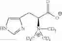 Fig. 06 - METHOD FOR PRODUCING PURE L-HERCYNINE
