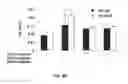 Fig. 07 - Proxisome proliferator activated receptor (PPAR) compounds and methods of using the same