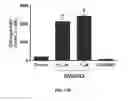 Fig. 19 - Proxisome proliferator activated receptor (PPAR) compounds and methods of using the same