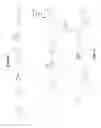 Fig. 20 - Proxisome proliferator activated receptor (PPAR) compounds and methods of using the same