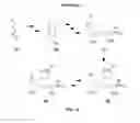 Fig. 22 - Proxisome proliferator activated receptor (PPAR) compounds and methods of using the same