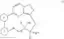 Fig. 43 - Macrocyclic compounds as TRK kinase inhibitors