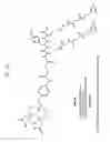 Fig. 14 - Methods and Compositions for Improved F-18 Labeling of Proteins, Peptides and Other Molecules