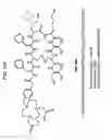 Fig. 15 - Methods and Compositions for Improved F-18 Labeling of Proteins, Peptides and Other Molecules