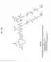 Fig. 18 - Methods and Compositions for Improved F-18 Labeling of Proteins, Peptides and Other Molecules