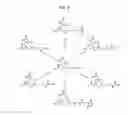 Fig. 23 - Methods and Compositions for Improved F-18 Labeling of Proteins, Peptides and Other Molecules
