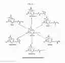 Fig. 32 - Methods and Compositions for Improved F-18 Labeling of Proteins, Peptides and Other Molecules