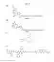 Fig. 33 - Methods and Compositions for Improved F-18 Labeling of Proteins, Peptides and Other Molecules