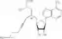 Fig. 136 - Cofactor analogues for methyltransferases