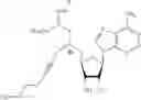 Fig. 32 - Cofactor analogues for methyltransferases