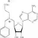 Fig. 77 - Cofactor analogues for methyltransferases