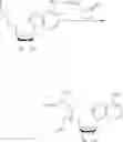 Fig. 87 - Cofactor analogues for methyltransferases
