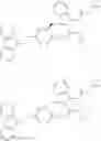 Fig. 43 - Immunomodulators