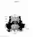 Fig. 02 - Mutant CsgG pores