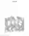 Fig. 09 - Mutant CsgG pores
