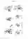 Fig. 49 - Mutant CsgG pores
