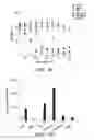 Fig. 09 - MODIFIED MICROBIAL TOXIN RECEPTOR FOR DELIVERING AGENTS INTO CELLS