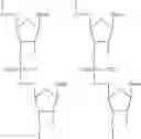 Fig. 08 - MYC NUCLEIC ACIDS AND USES THEREOF