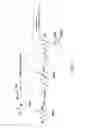 Fig. 09 - Lipidated amide-based insulin prodrugs