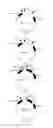 Fig. 04 - Antibody capable of binding to influenza virus